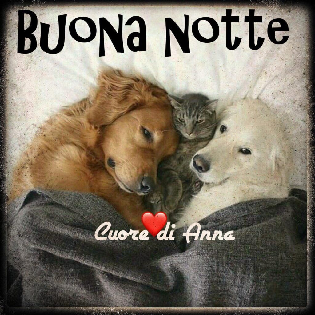 Buona Notte (immagini tenere)