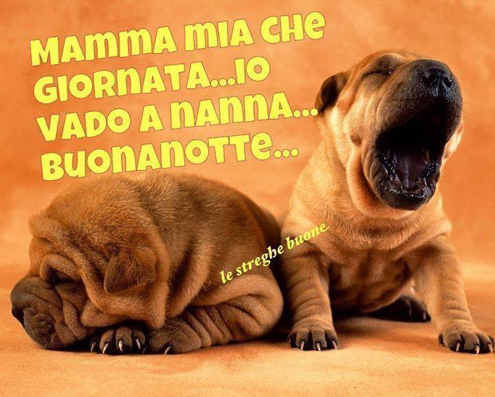 Mamma mia che giornata... io vado a nanna... Buonanotte - immagini divertenti