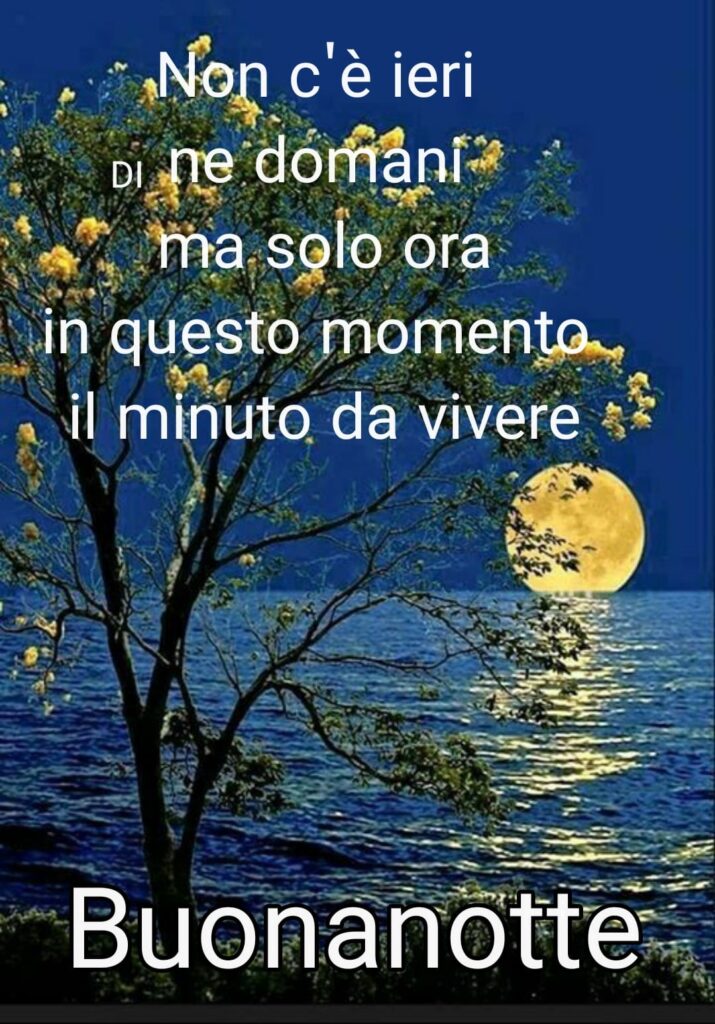 Non c'è ieri nè domani ma solo ora, in questo momento, il minuto da vivere... Buonanotte