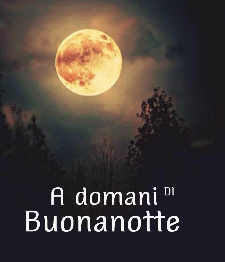 Immagini belle della Buonanotte con la Luna piena