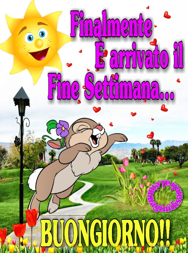 Finalmente è arrivato il fine settimana... BUONGIORNO!!