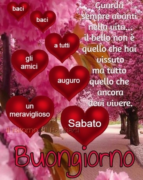 Guarda sempre avanti nella vita... il bello non è quello che hai vissuto ma tutto quello che ancora devi vivere. Buon Sabato