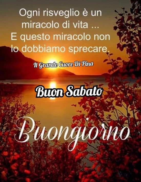 Ogni risveglio è un miracolo di vita... E questo miracolo non lo dobbiamo sprecare. Buon sabato buon giorno