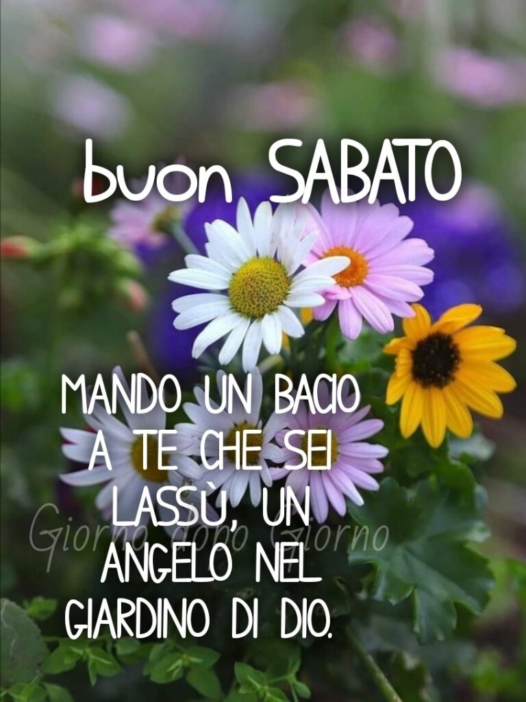 Buon Sabato. Mando un bacio a te che sei lassù, un Angelo nel giardino di Dio.