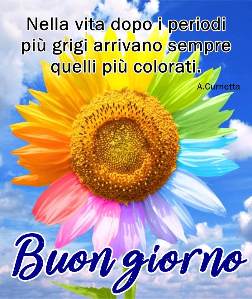 Nella vita dopo i periodi più grigi arrivano sempre quelli più colorati. (A. Curnetta) Buon giorno
