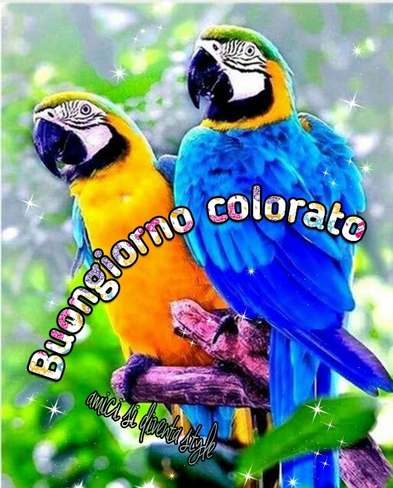 Buongiorno colorato