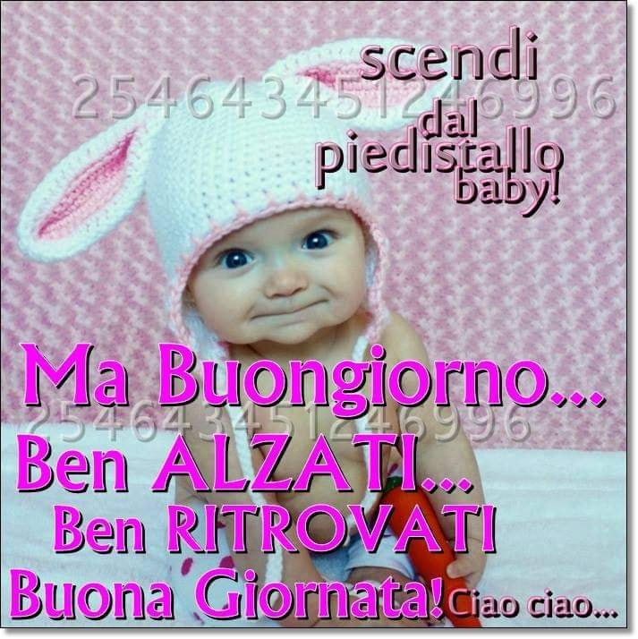 Ma buongiorno... Ben alzati... Ben ritrovati... Buona Giornata! Ciao Ciao...