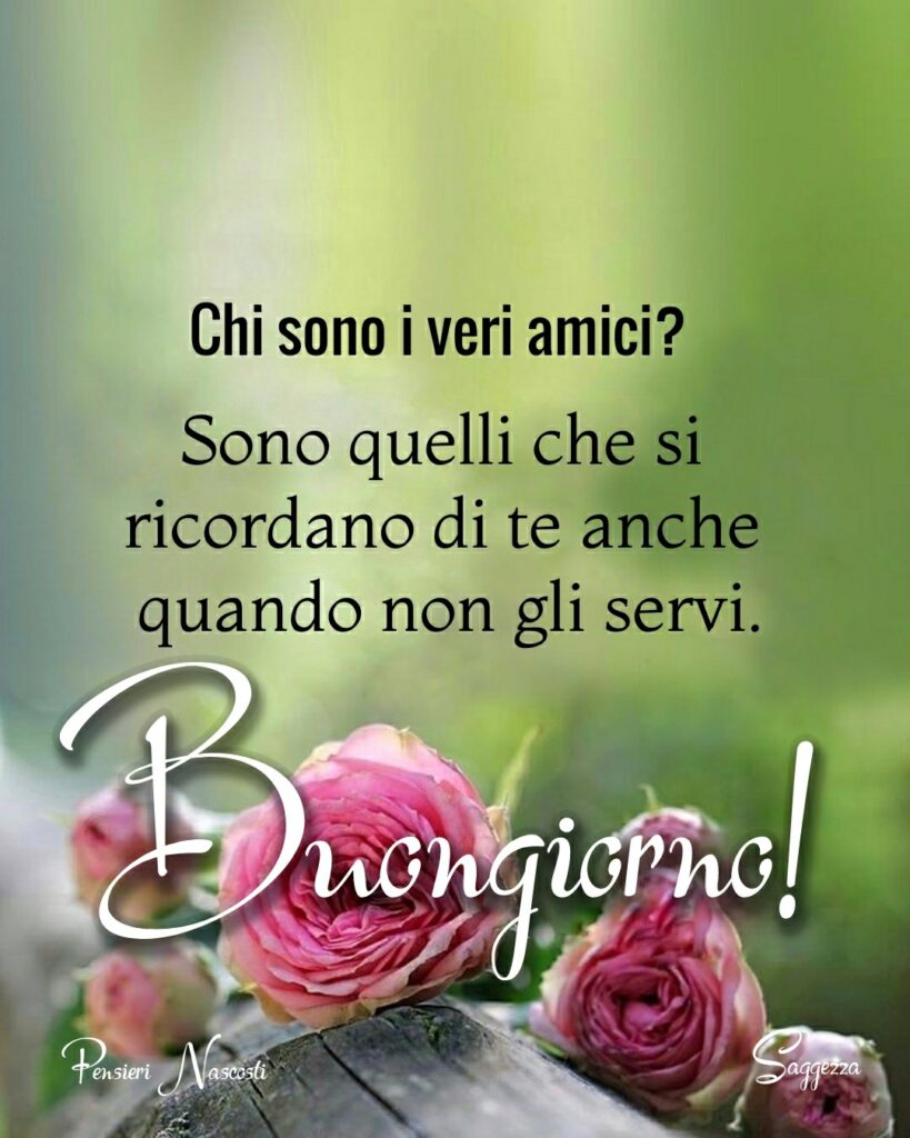 Chi sono i veri amici? Sono quelli che si ricordano di te anche quando non gli servi. Buongiorno!