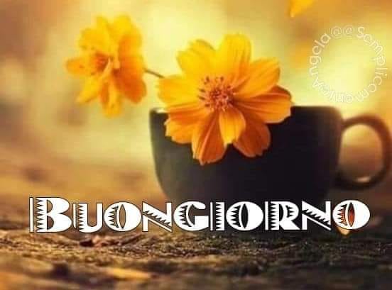 Buongiorno fiori bellissimi