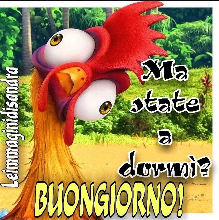 Ma state a dormì?? BUONGIORNO!