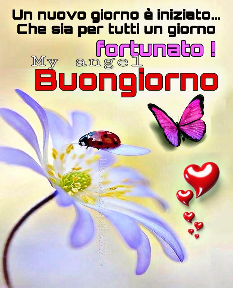 Un nuovo giorno è iniziato... Che sia per tutti un giorno fortunato! Buongiorno (My Angel)