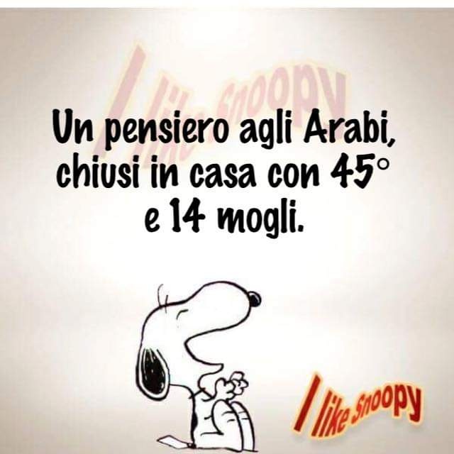 Un pensiero agli arabi, chiusi in casa con 45 gradi e 14 mogli. - immagini divertenti