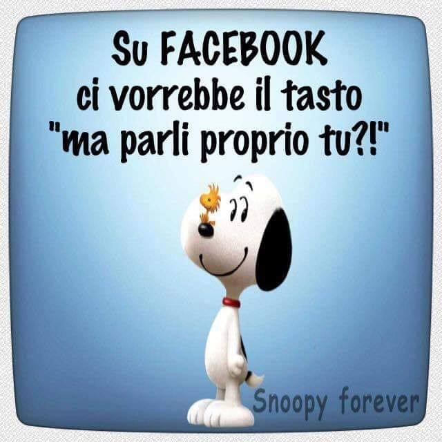 Su Facebook ci vorrebbe il tasto "ma parli proprio tu?!" (Snoopy)