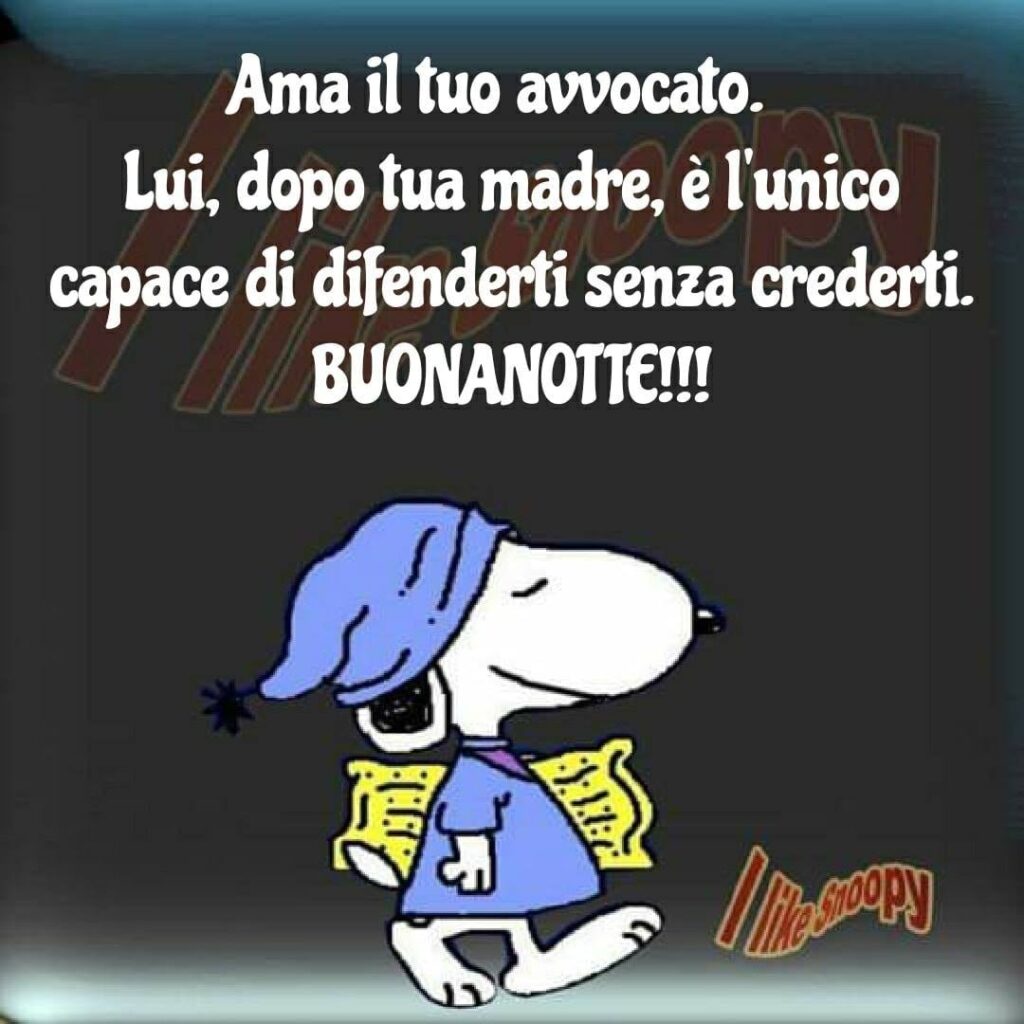 Ama il tuo avvocato. Lui, dopo tua madre, è l'unico capace di difenderti senza crederti. BUONANOTTE!!!