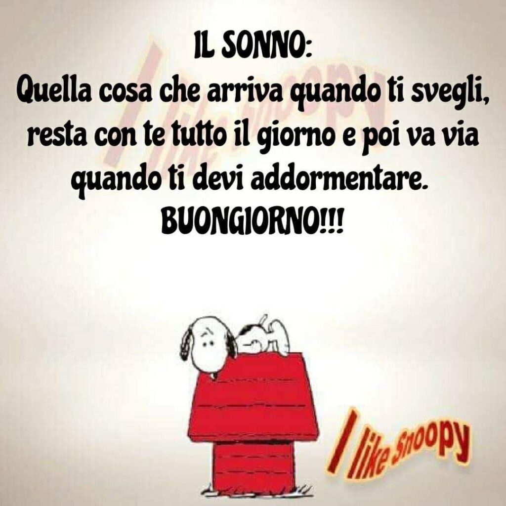 IL SONNO: Quella cosa che arriva quando ti svegli, resta con te tutto il giorno e poi va via quando ti devi addormentare. BUONGIORNO !!! (Snoopy)