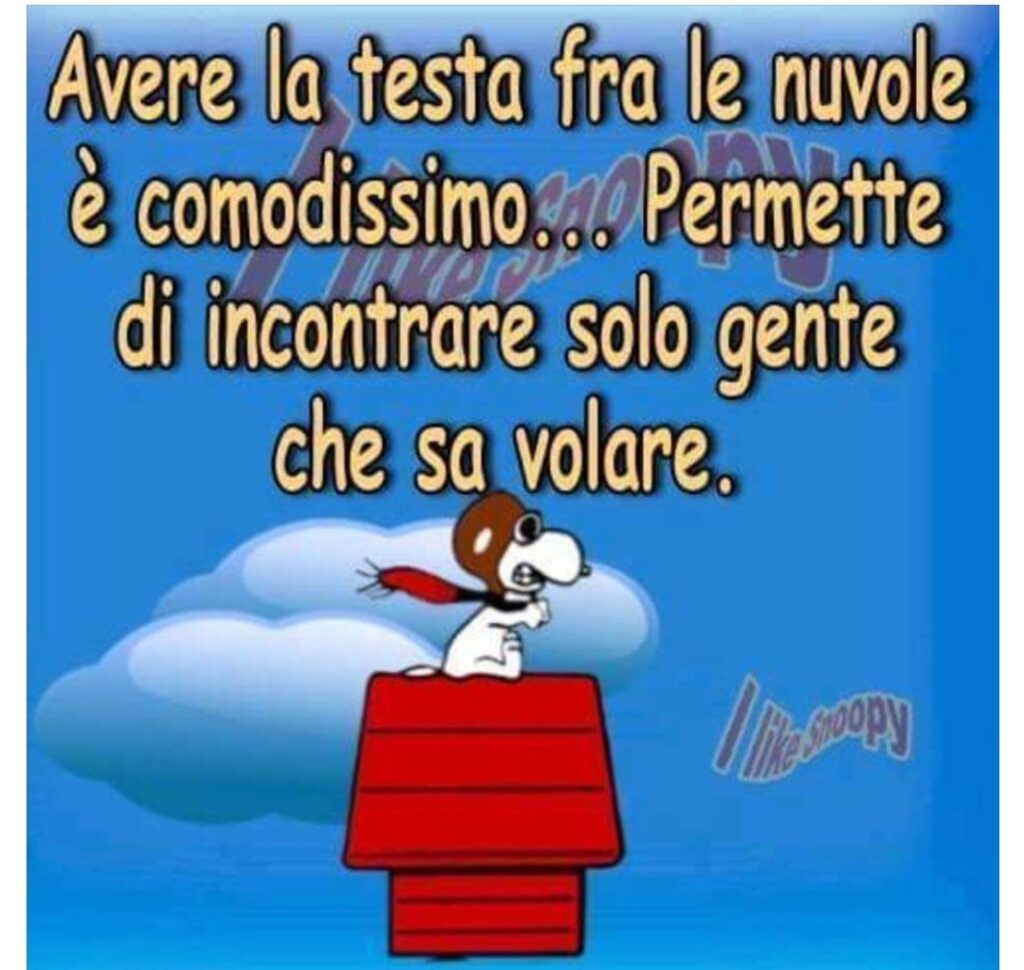 Avere la testa fra le nuvole è comodissimo... Permette di incontrare solo gente che sa volare. (I Like Snoopy)