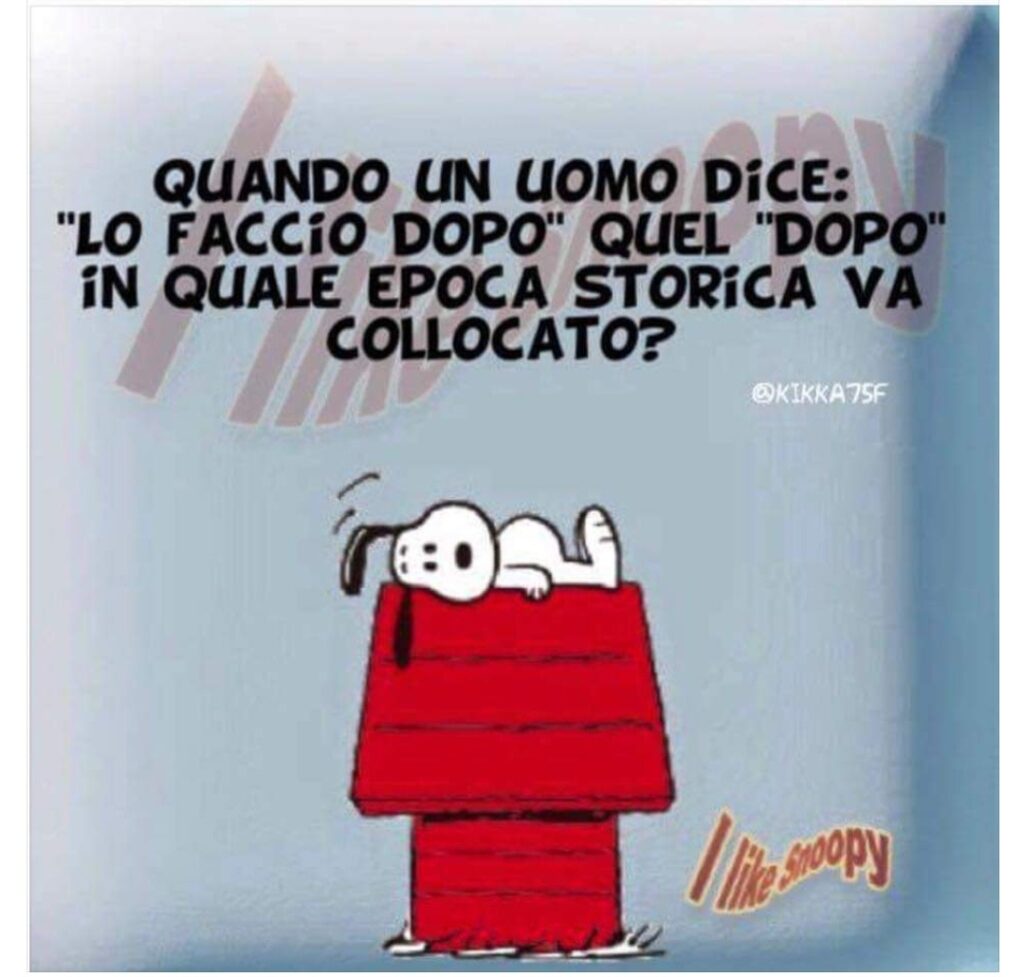 Quando un uomo dice: "lo faccio dopo", quel "dopo" in quale epoca storica va collocato? - nuove battute Snoopy