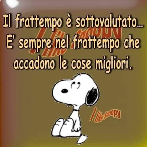 Il frattempo è sottovalutato... È sempre nel frattempo che accadono le cose migliori. (Snoopy)