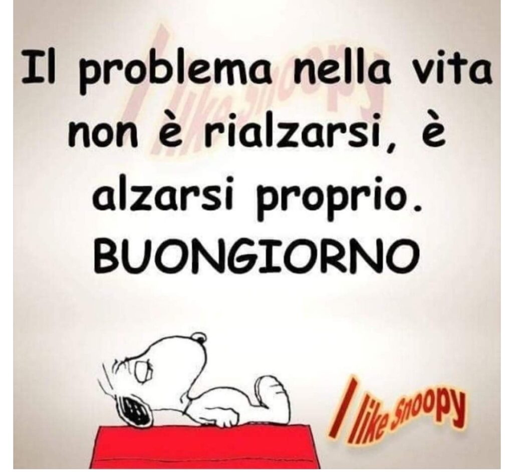 Il problema nella vita non è rialzarsi, è proprio alzarsi. BUONGIORNO