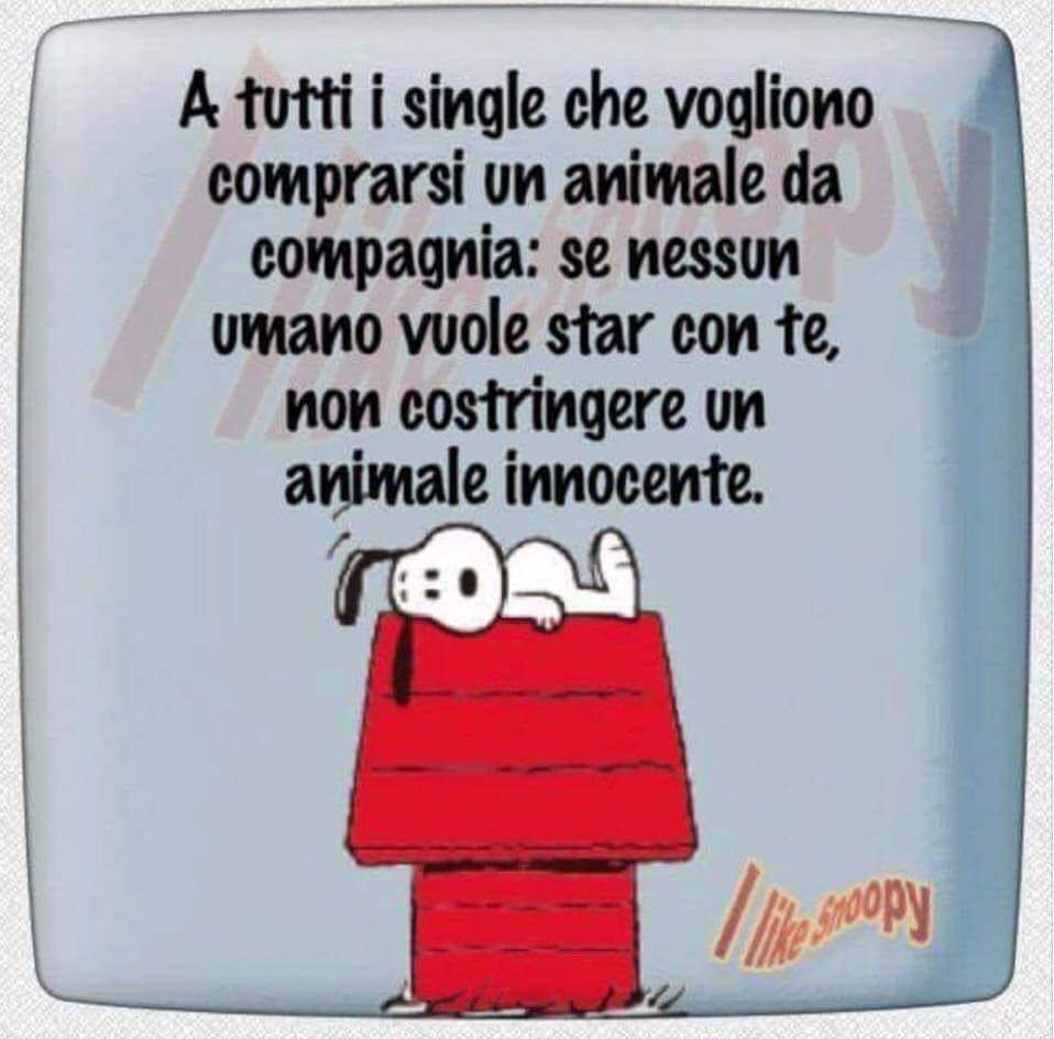 A tutti i single che vogliono comprarsi un animale da compagnia: se nessun umano vuole stare con te, non costringere un animale innocente. - vignette con Snoopy