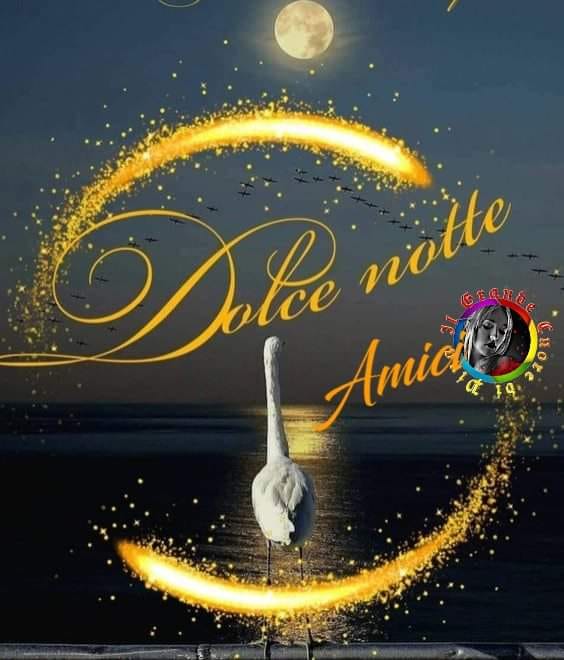 Dolce Notte Amici