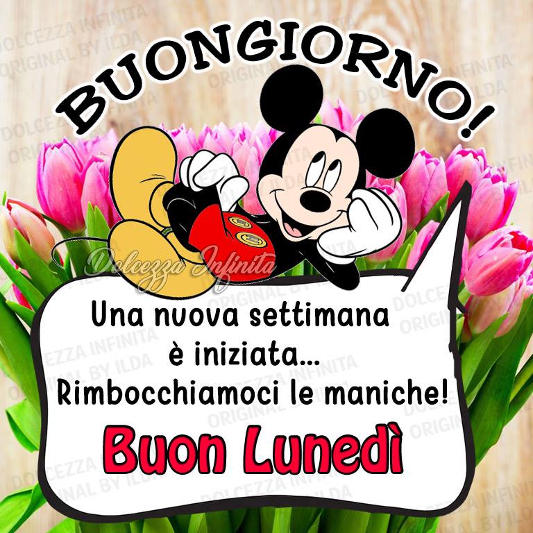 BUONGIORNO! Una nuova settimana è iniziata... Rimbocchiamoci le maniche! Buon Lunedì