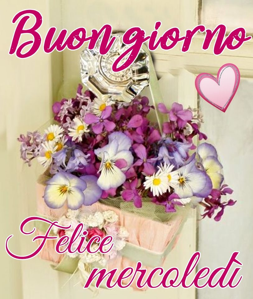 Buongiorno felice mercoledì