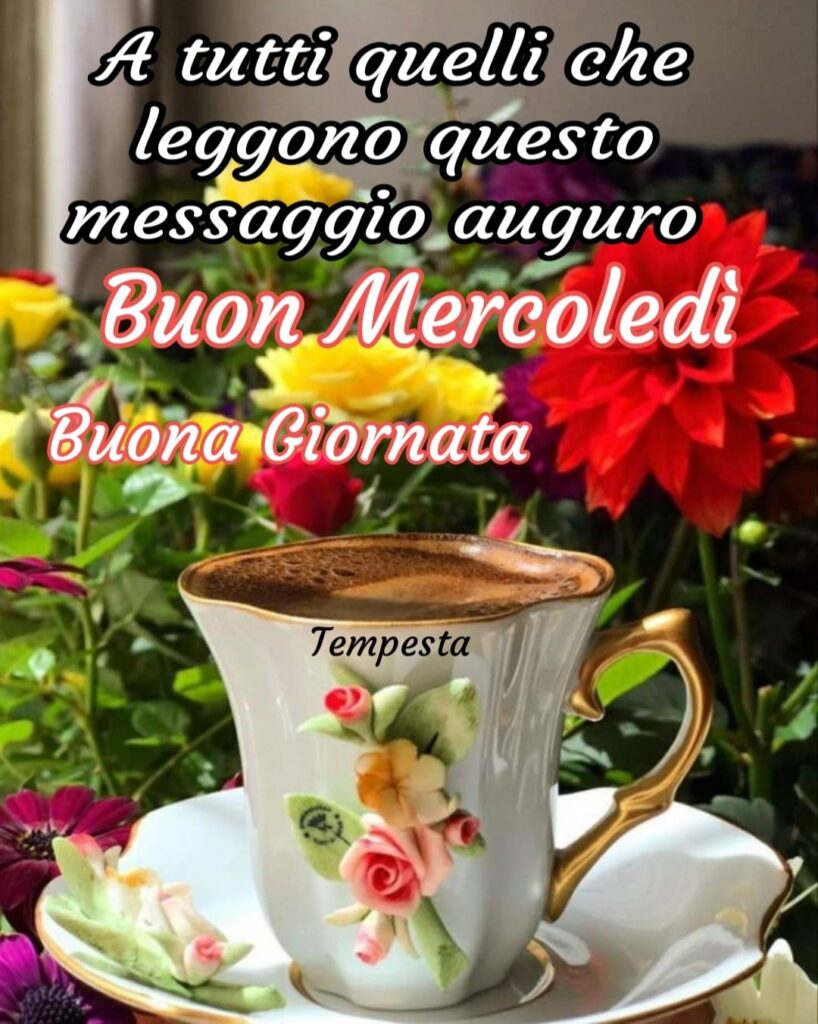 A tutti quelli che leggono questo messaggio auguro buon mercoledì buona giornata (Tempesta)