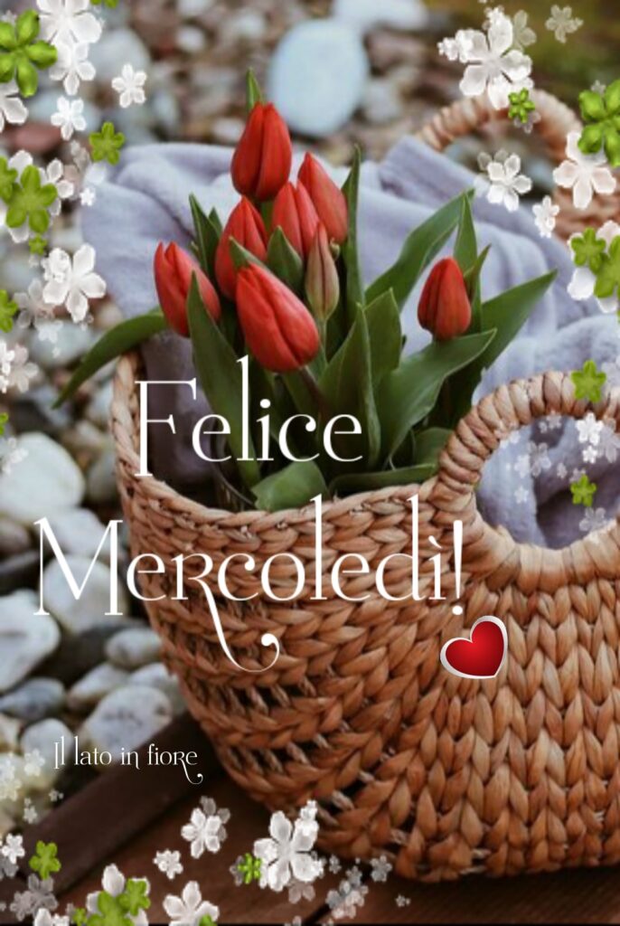 Felice Mercoledì (il lato in fiore)