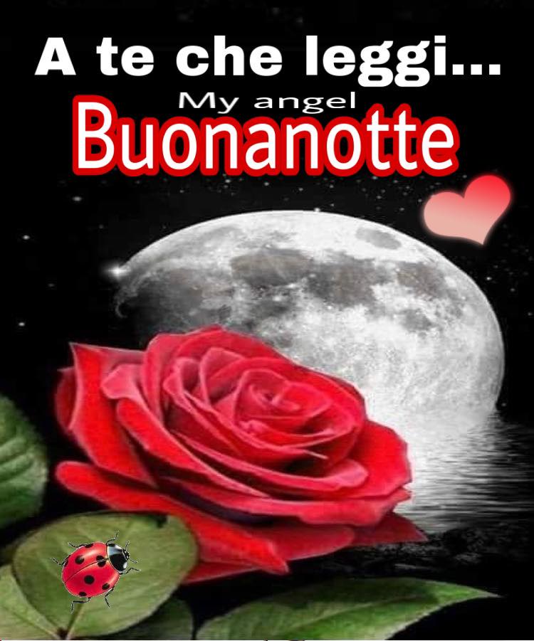 A te che leggi ;;; Buonanotte