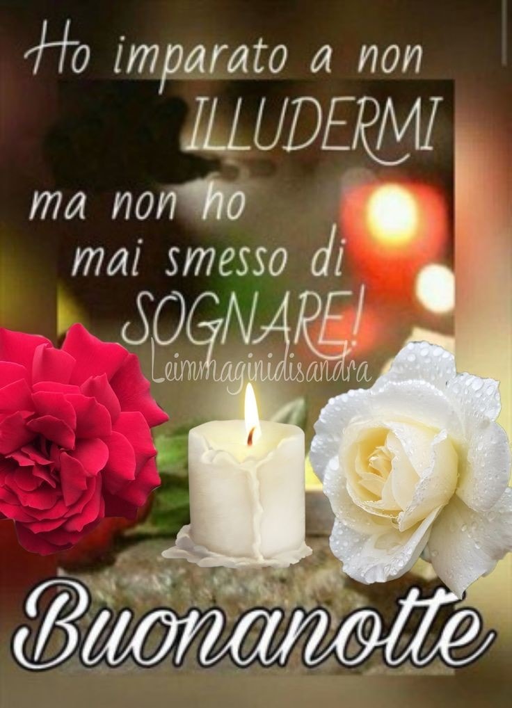 Ho imparato a non ILLUDERMI, ma non ho mai smesso di SOGNARE! Buona Notte ...