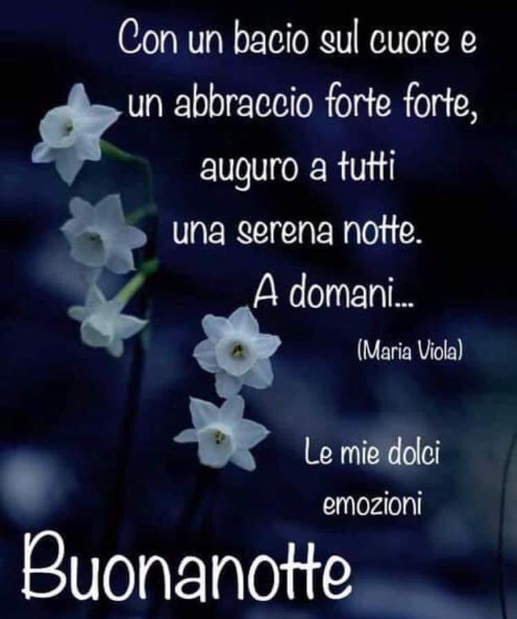 Con un bacio sul cuore e un abbraccio forte forte, auguro a tutti una serena notte. A domani... Buonanotte