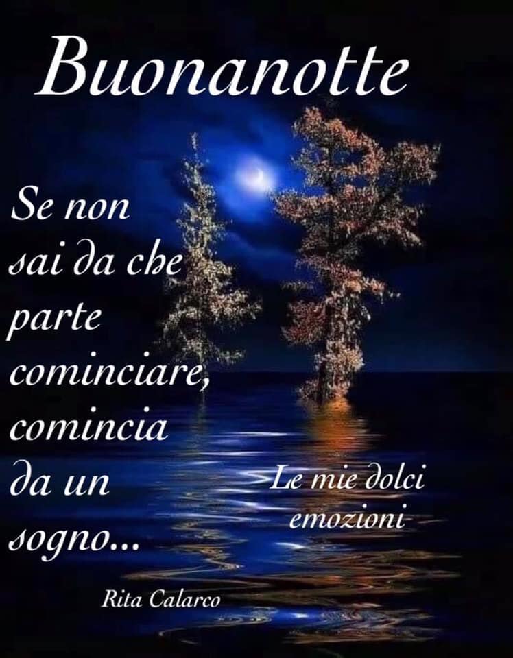 Buonanotte. Se non sai da che parte cominciare, comincia da un sogno... (Rita Calarco)