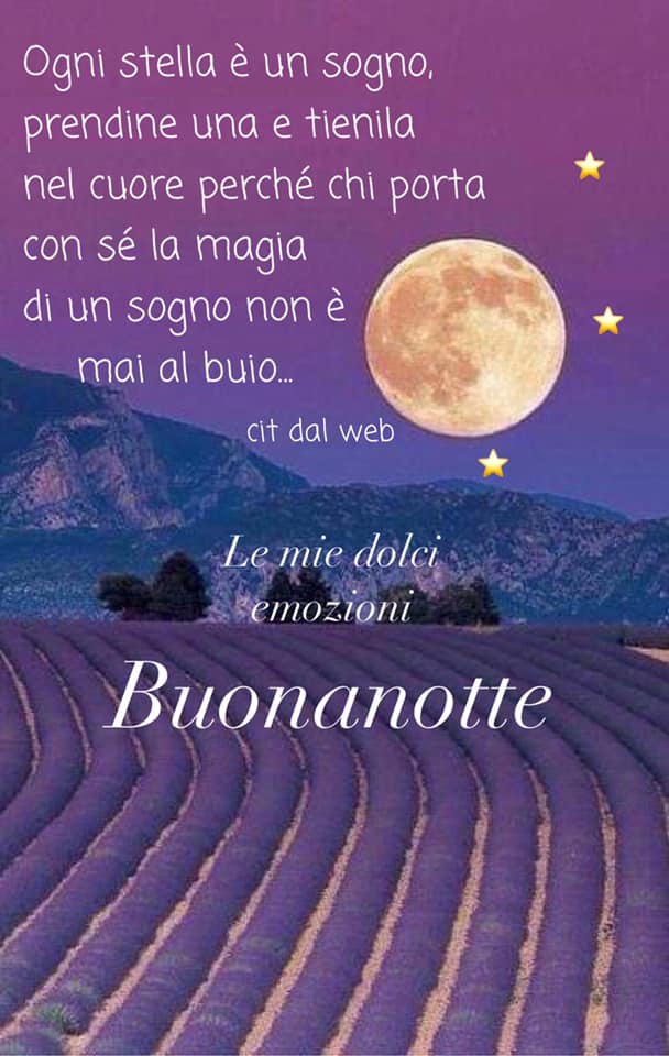 Ogni stella è un sogno, prendine una e tienila nel cuore perché chi porta con sè la magia di un sogno non è mai al buio... Buonanotte