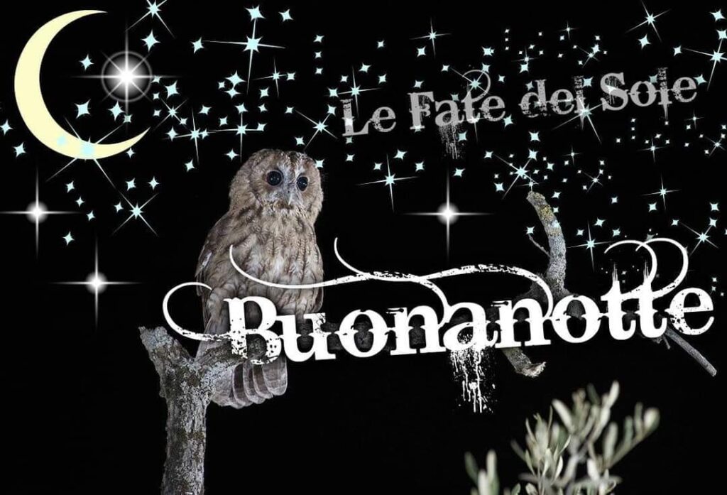 Le Fate del Sole - Buonanotte