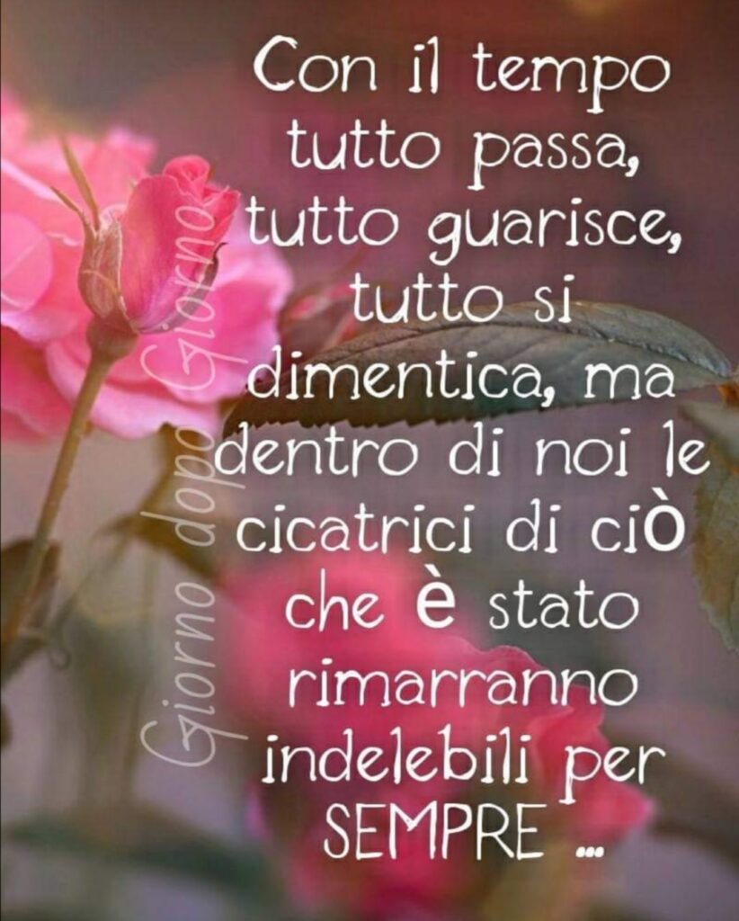 Con il tempo tutto passa, tutto guarisce, tutto si dimentica, ma dentro di noi le cicatrici di ciò che è stato rimarranno indelebili per SEMPRE ... (Giorno dopo Giorno)