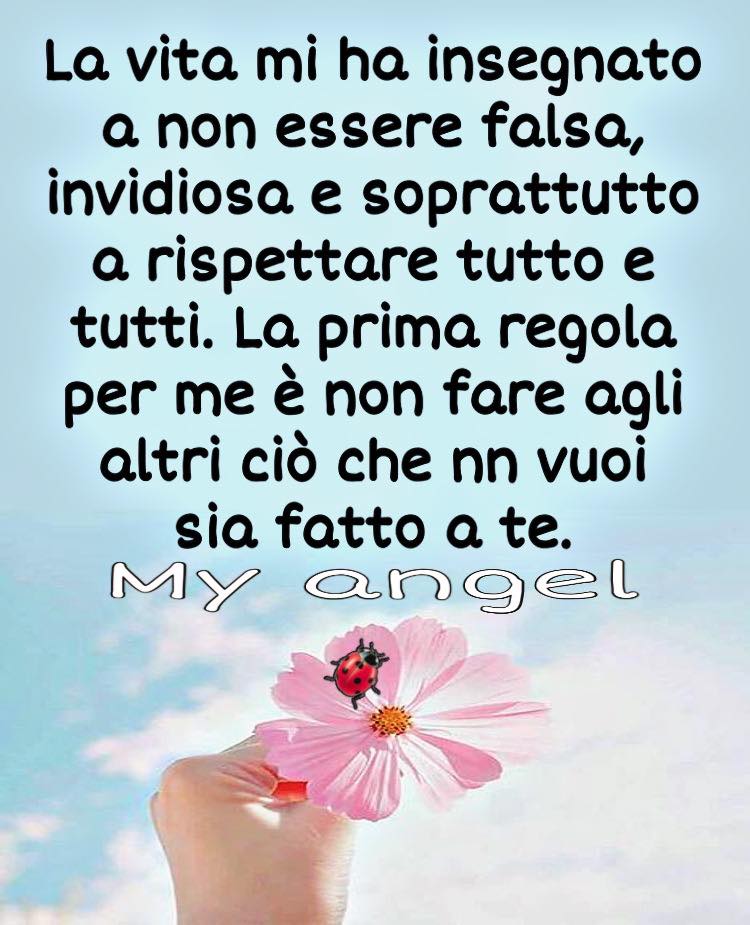 La vita mi ha insegnato a non essere falsa, invidiosa e soprattutto a rispettare tutto e tutti. La prima regola per me è non fare agli altri ciò che non vuoi sia fatto a te.