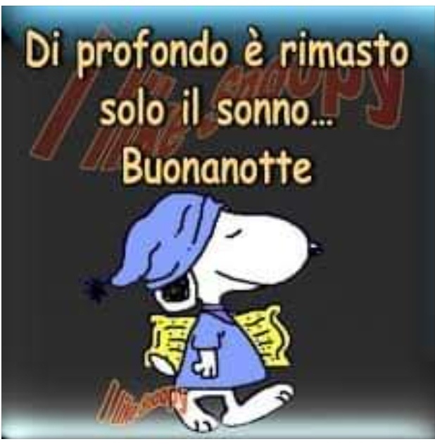 Di profondo è rimasto solo il sonno... Buonanotte (Snoopy)