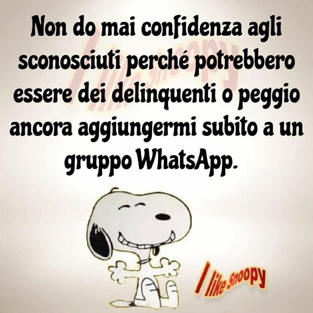 Non do mai confidenza agli sconosciuti perché potrebbero essere dei delinquenti o peggio ancora aggiungermi subito a un gruppo su WhatsApp.