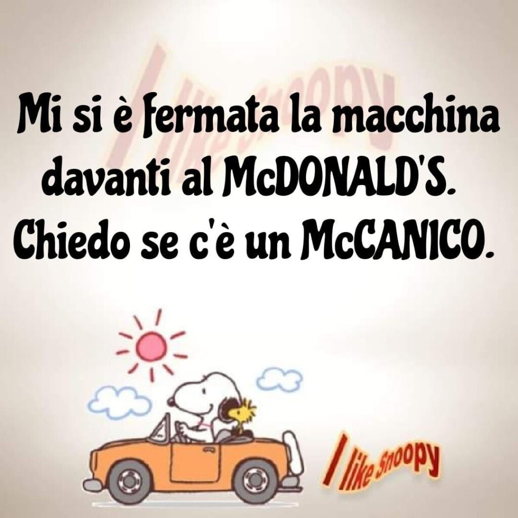 Mi si è fermata la macchina davanti al Mc Donald's. Chiedo se c'è un McCanico.