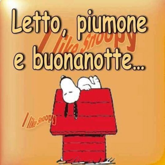 Letto, piumone e Buonanotte... (Snoopy)