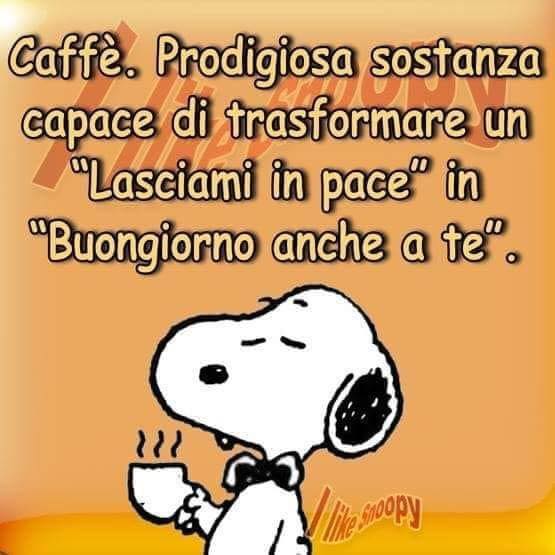 Caffè. Prodigiosa sostanza capace di trasformare un "lasciami in pace" in "Buongiorno anche a te".