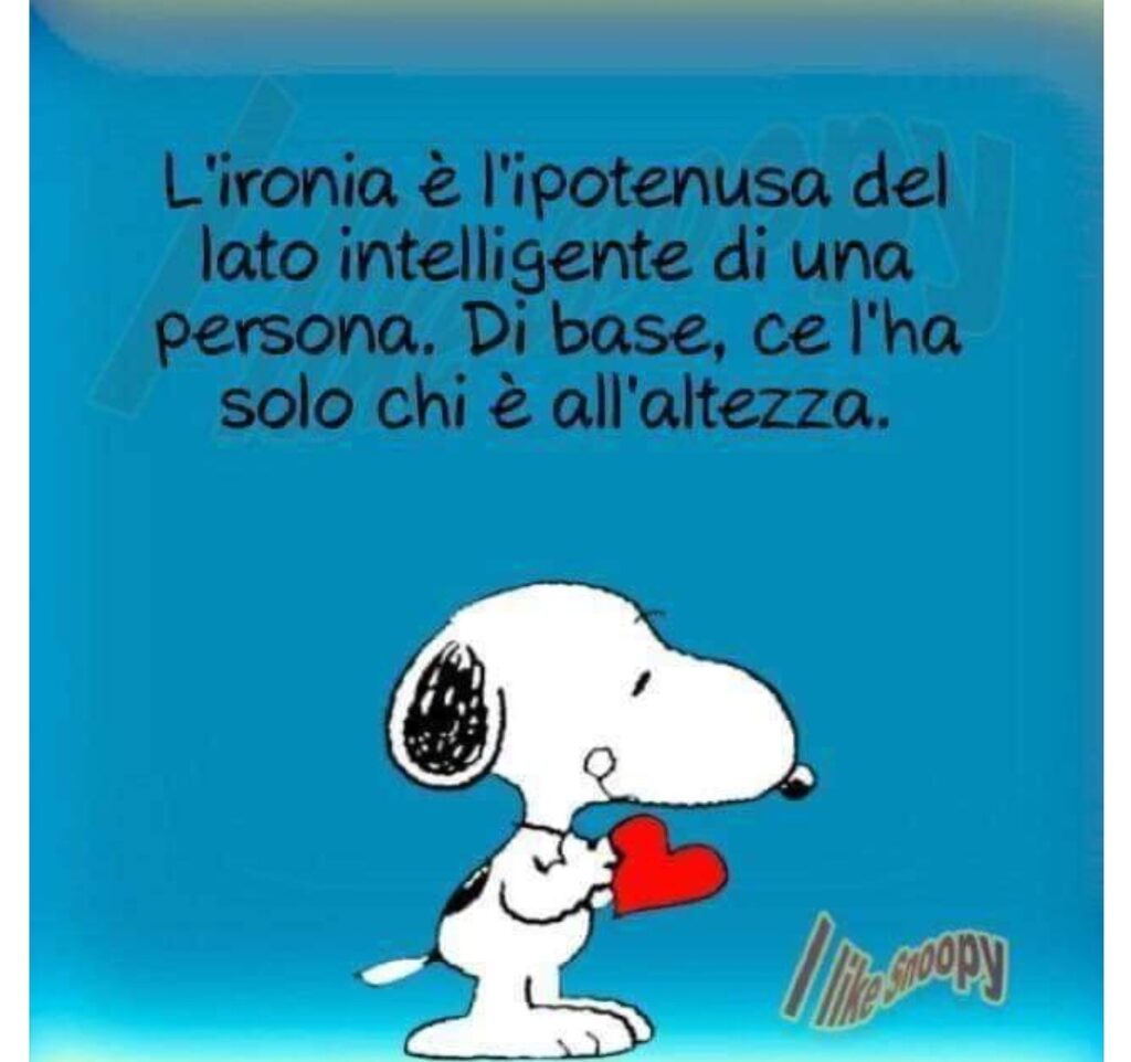 L'ironia è l'ipotenusa del lato intelligente di una persona. Di base, ce l'ha solo chi è all'altezza. (Snoopy)