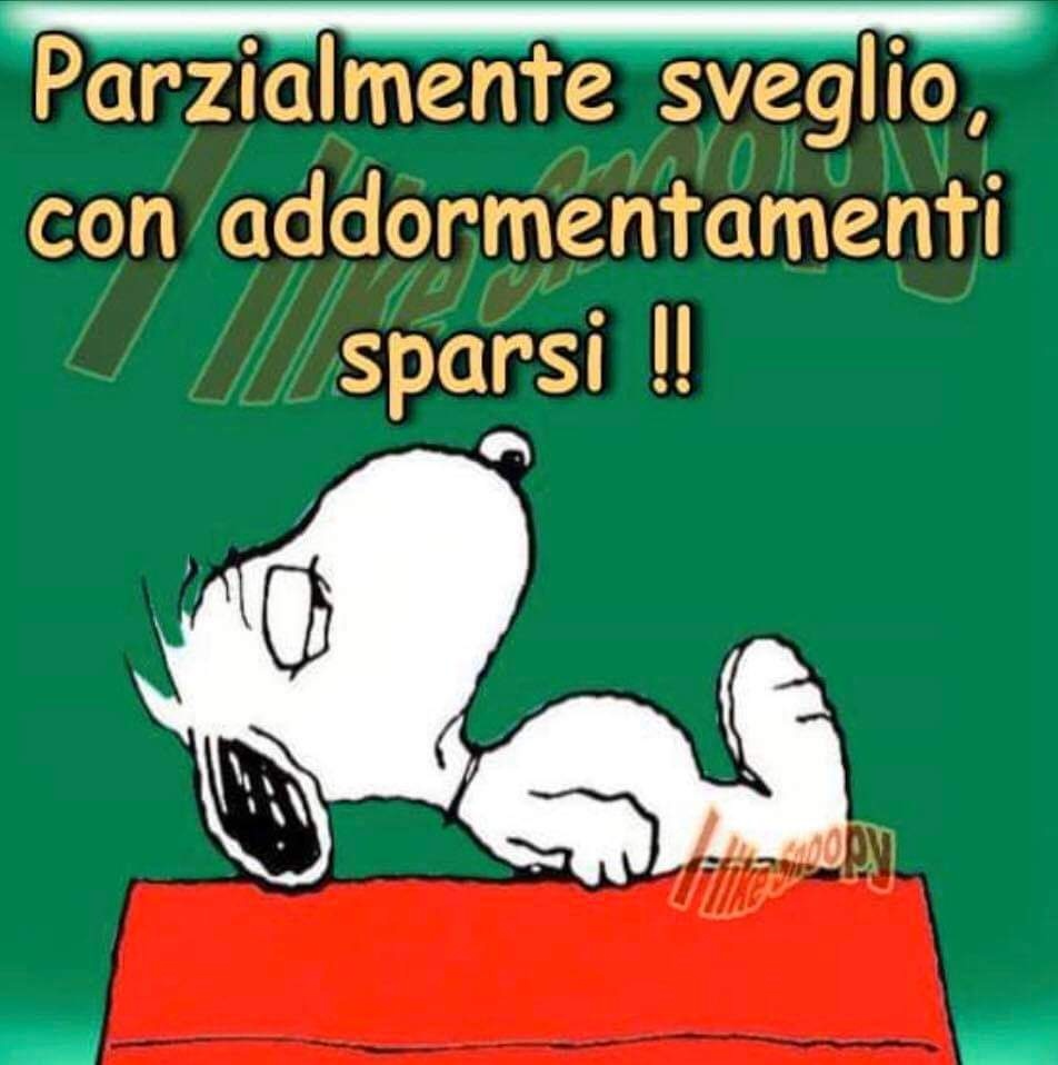 Vignette spiritose con Snoopy
