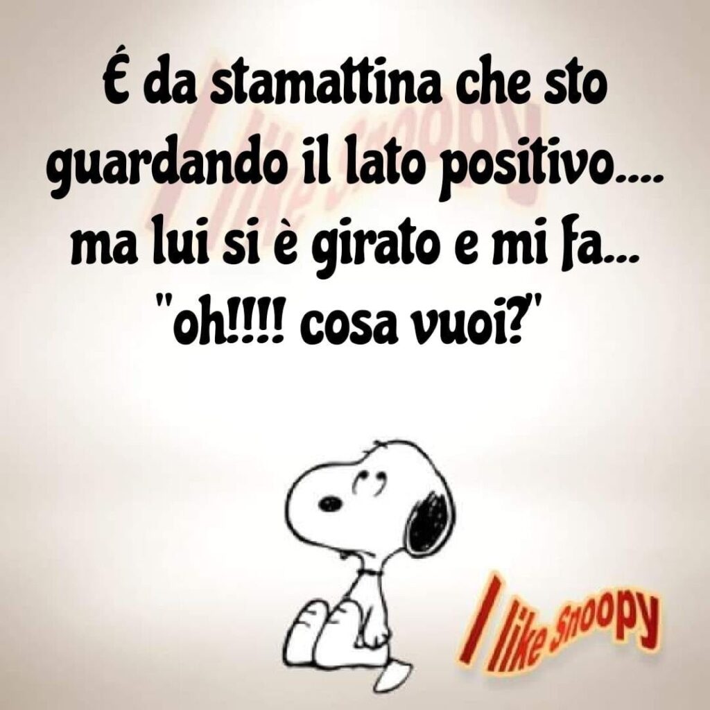 È da stamattina che sto guardando il lato positivo... ma lui si è girato e mi fa... "oh!!! Cosa vuoi??"