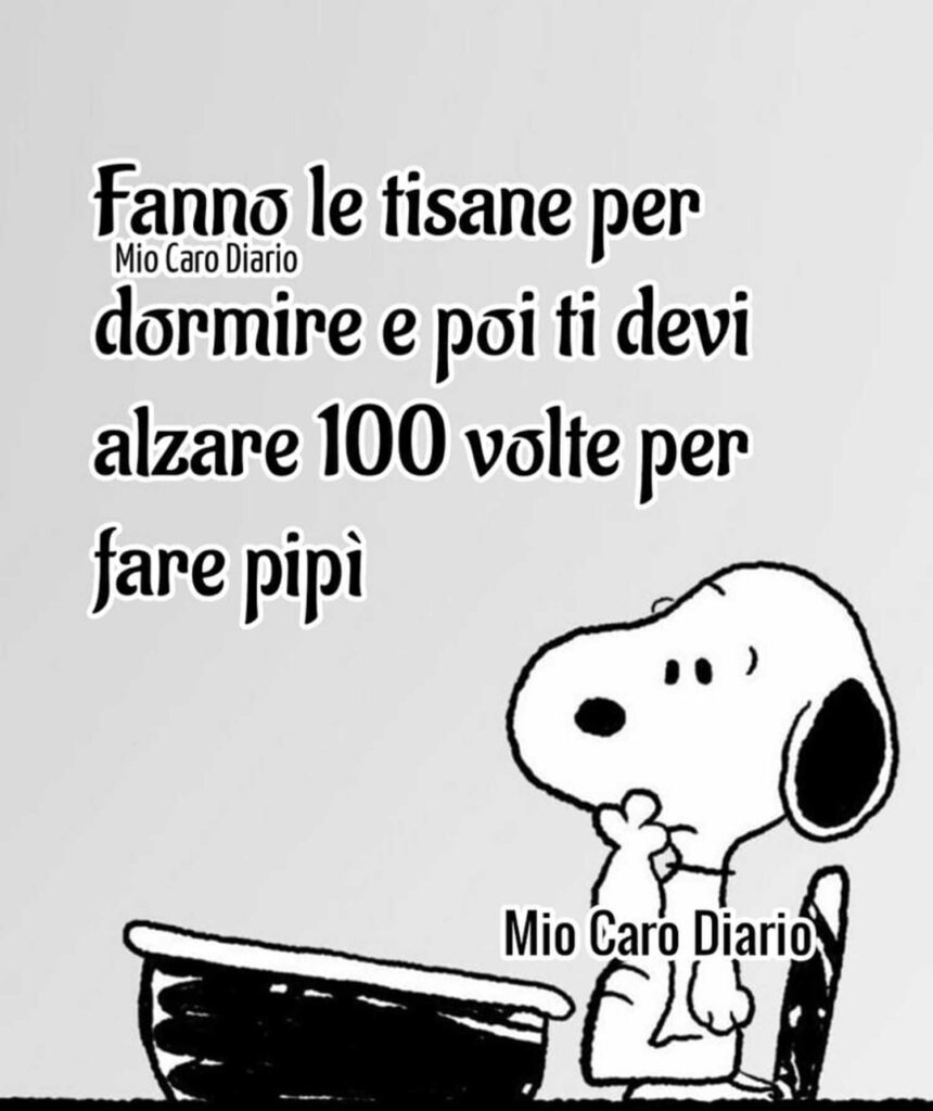 frasi divertenti Snoopy