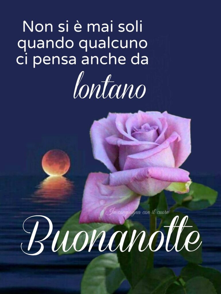 Non si è mai soli quando qualcuno ci pensa, anche da lontano... Buonanotte